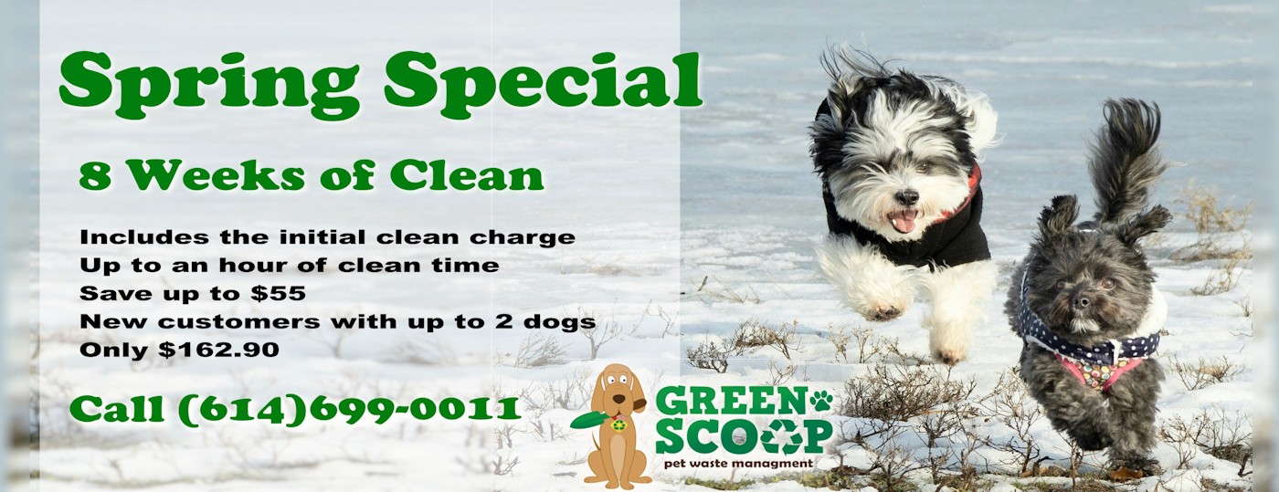 Spring Special banner